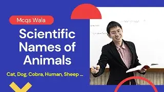 15 Scientific Names of Common Animals | Scientific Names