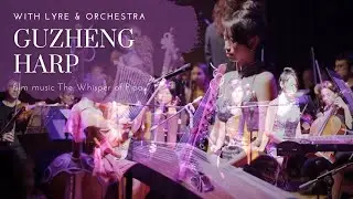 Guzheng music (Chinese harp) with ancient lyre, film 