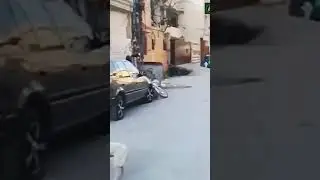 #funnyvideo