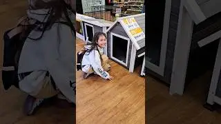 Wow 😍 Looks nice 👌WILL I fit there? 🤣 
