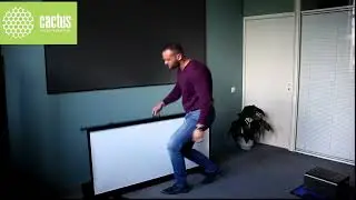 Cactus Напольный экран