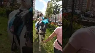 Крошка