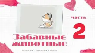 №2 Забавные животные