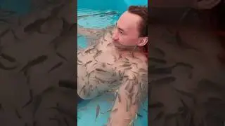 Меня рыбы съели) Акбермет- топ)