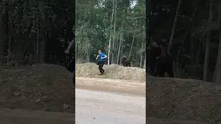ПОКОРМИЛ МЕДВЕДЯ У ДОРОГИ! БЕЗРАССУДНЫЙ ПОСТУПОК!