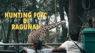 POV Animal Photography (Part 1) || Daily Street ep. 11 || Ragunan Zoo