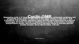 Medical vocabulary: What does Cyclic GMP mean