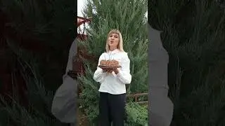 #100летворонежскомузаповеднику