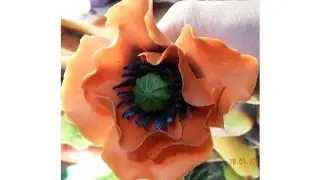 Мак из холодного фарфора мастер класс