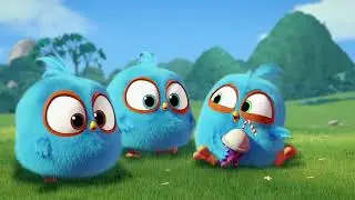 angry birds blues #4