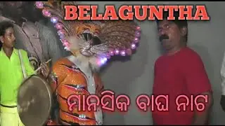 Bellaguntha Tiger Dens || ବାଘ ନାଚ || Bagha nata Gundicha Blog video @gundicha