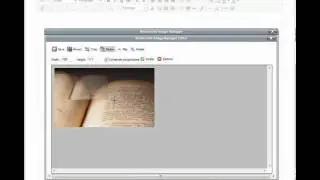 How to Manage Images with TinyMCE