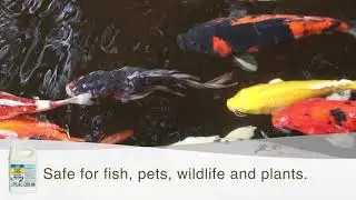 API ECOFIX SLUDGE DESTROYER | Reduce pond maintenance