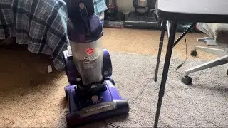Hoover Pet Vac Rewind Legacy, Vacuumimg Natural crunch