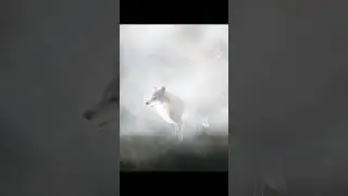 Lunar Wolf Secret in Guild Wars 2