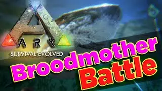 Ark: Survival Evolved Jurassic World Arena Broodmother Megalodon Battle Broodmother Boss Tame