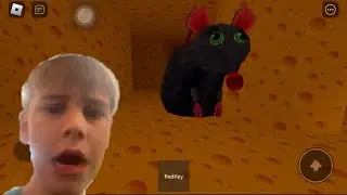 Сырный Лабиринт!!! ПОБЕГ От КРЫСЫ!!! Игра С Друзьями!! Cheese Escape Roblox