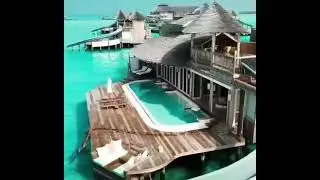 MALDIVES 🏝️| TRAVEL | LUXURY #shorts #travel #maldives #luxury