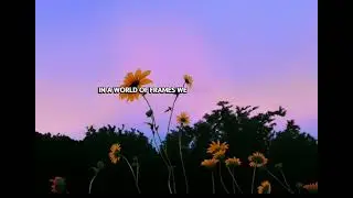 Insta dreams , song for Instagram lovers. 🌷💕💝