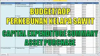 Budget Perkebunan Kelapa Sawit - Capital Expenditure Summary - Asset Purchase (Part 6)