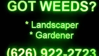 LANDSCAPER , Helendale, Newberry Springs, Yermo, Calico, Hodge, Hinkley, Lenwood, Apple Valley