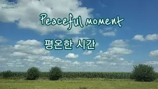 Peaceful moment 평온한 시간