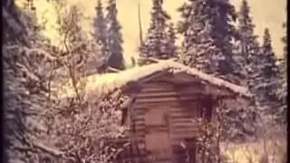 5 Один в Дикой Природе