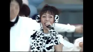 비비 - 하늘땅별땅 (60fps) 1997.1102