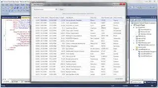 WPF Grid  The Search Panel