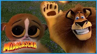 Mort's Most Adorable Moments!!🥺⭐ | DreamWorks Madagascar