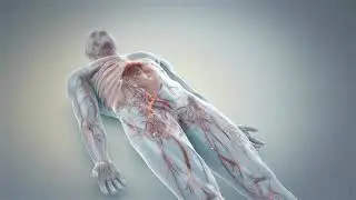 3D MEDICAL #2