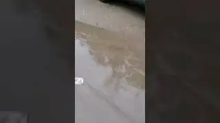 ливень на Илью
