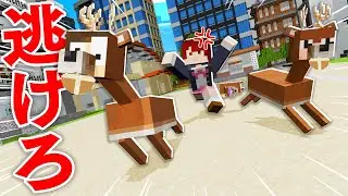 シカせんべいを奪ってくる人間どもから逃げろ！『シカ鬼ごっこ』