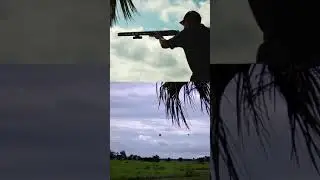Learn to Shoot Sporting Clays