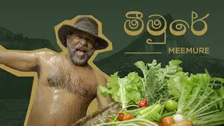 TRAILER | කවුරුත් නොදුටු මීමුරය | The Unseen Meemure