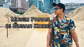 PENASARAN Musim Panas di Korea? #tkikorea #musimpanas #busan