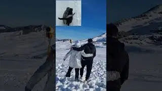qoşa çinarlar)) qoşa pişiklər