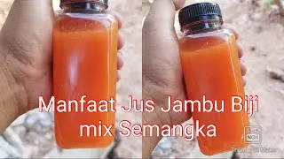 manfaat jus semangka Dan Jambu Bijii,