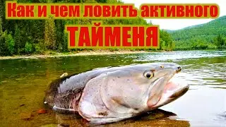 ЛОВИМ ТАЙМЕНЯ. Как и чем ловить активного ТАЙМЕНЯ. Фильм 9