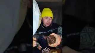 медвежья тушёнка