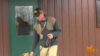 Threshold Training:Obedience for your dog