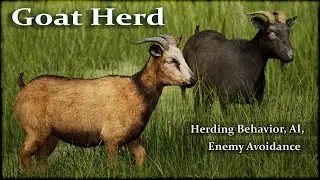 Goat Herd