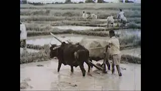 Pakistan (1954) Geography, Travel, History, Culture