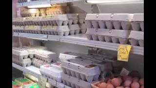 Setting-Up a Food Establishment In Michigan - Department of Agriculture & Rural Development