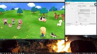 Story of Seasons friends of mineral town cheat money with cheat engine