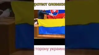 протест Словакии в сторону украины