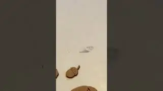 Пазлы деревянные UNIDRAGON