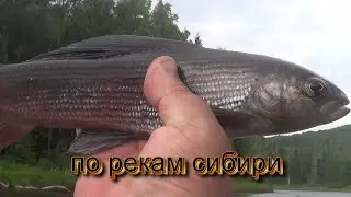 ТУМАН РЕКА. РЫБАЛКА ОГОНЬ.