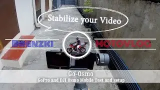 I put my GoPro to my DJI Osmo Mobile