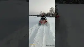 Лягушка 🐸 в тяжёлых условиях!!!
